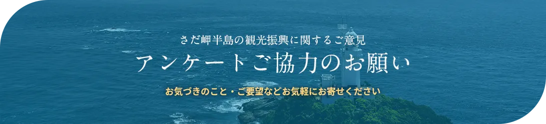 さだ岬半島の観光振興に関するご意見