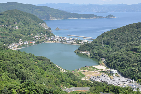 亀ケ池周辺は癒しの宝庫のサムネイル