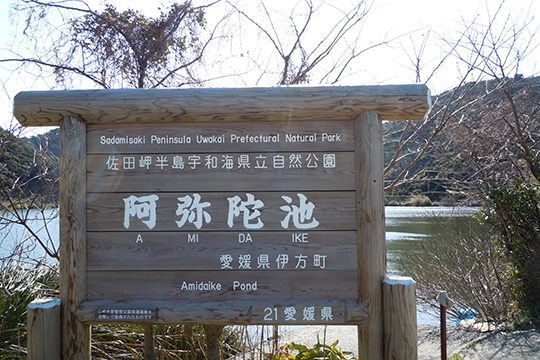 阿弥陀池のサムネイル