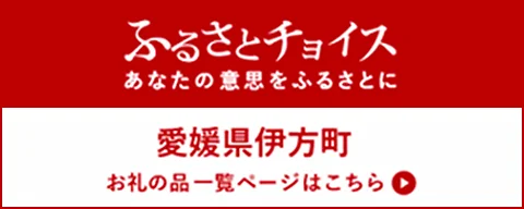 ふるさとチョイス
