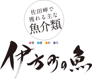 伊方町の魚